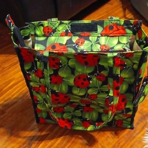 Ladybug bag has inside pocket,  outside zipper pocket. Bottle holder on ea. Side